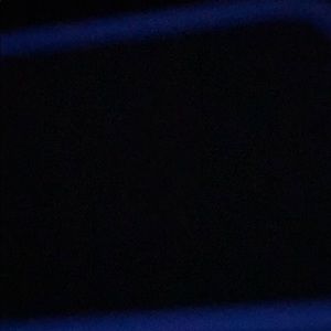 Meet your Posher, Bailey